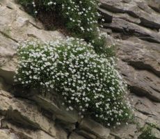 IZ PODBRDA V RUT, 21.05.2017 s PD PT Ljubljana